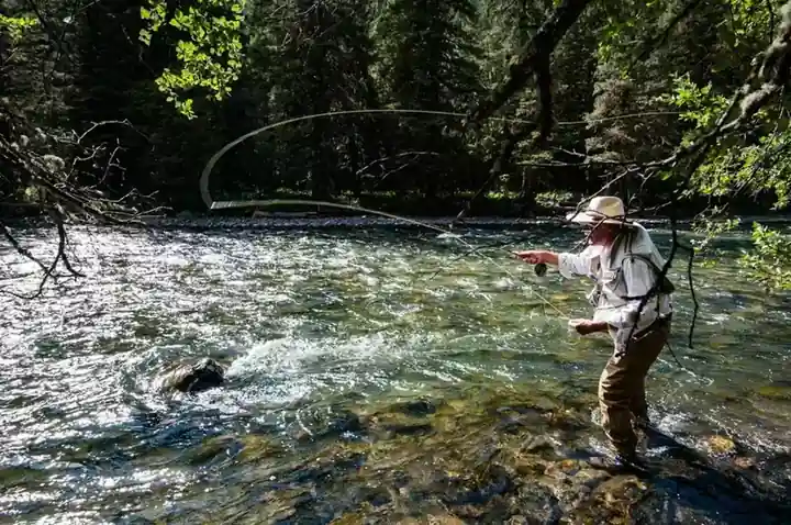 fly fishing gear for montana