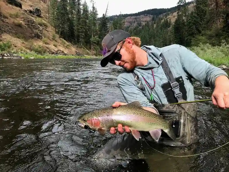 fly fishing rainbow trout